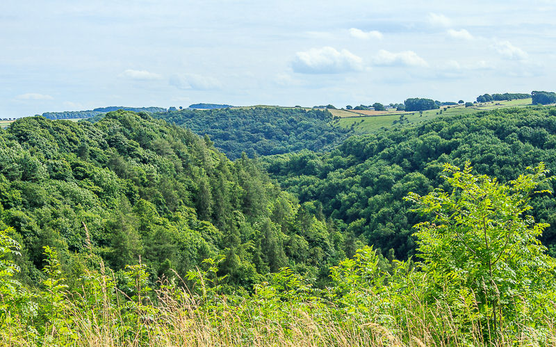 Taddington Dale Taddington Dale